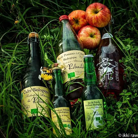 Libera Colombelles ホテル 3*