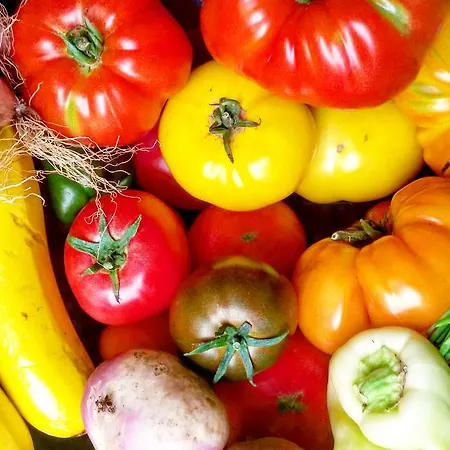 Libera Colombelles 3* Кан