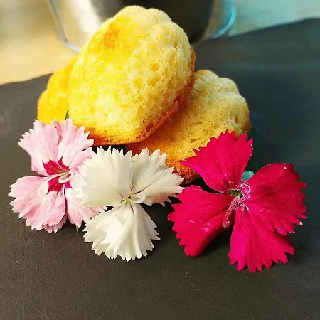Libera Et Restaurant Colombelles 3*