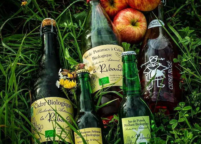 Libera Colombelles Hotell 3*