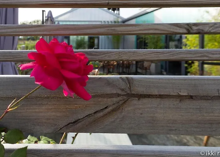 Отель Libera Colombelles Кан