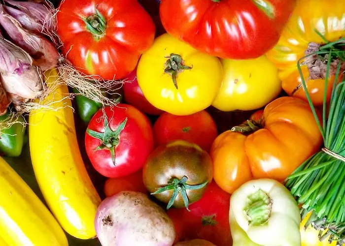 Libera Colombelles 3* كان