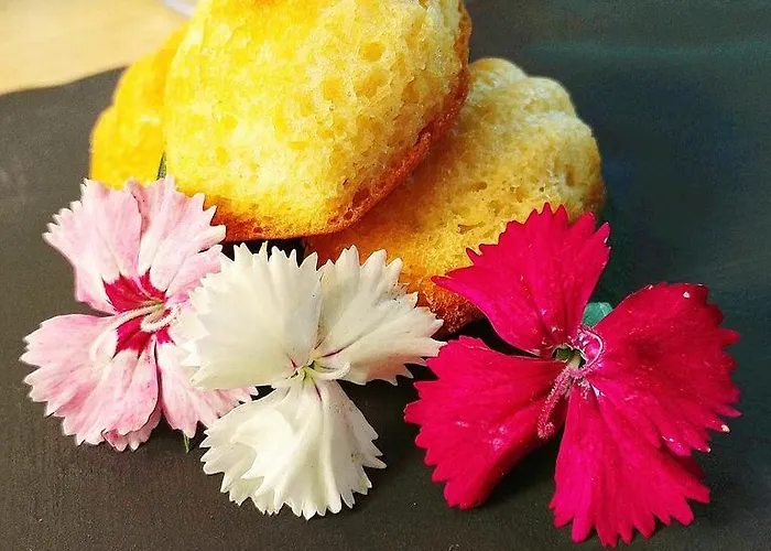 Libera Colombelles 3*